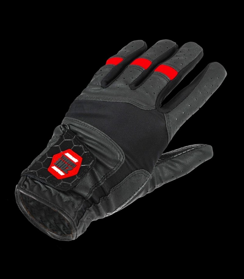 Zone Goalie Gloves Pro black/red